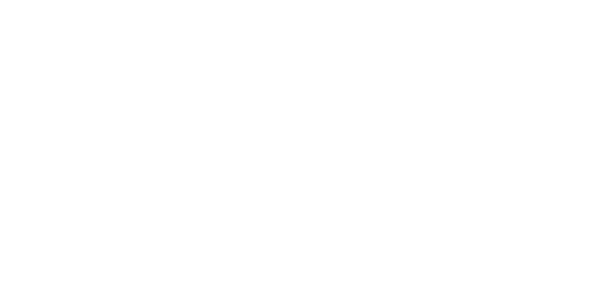 ویزا partner logo