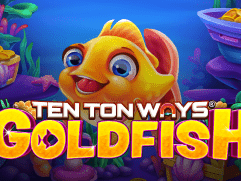 Ten Ton Ways Goldfish thumbnail